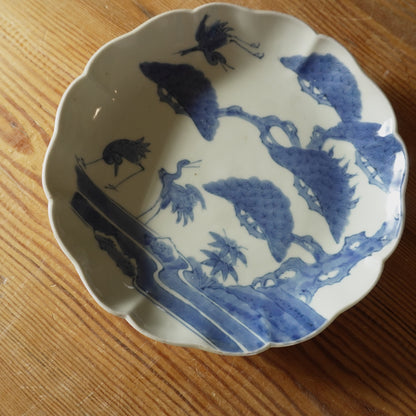 【限定セット】古伊万里7寸皿セット - Kotto Shop