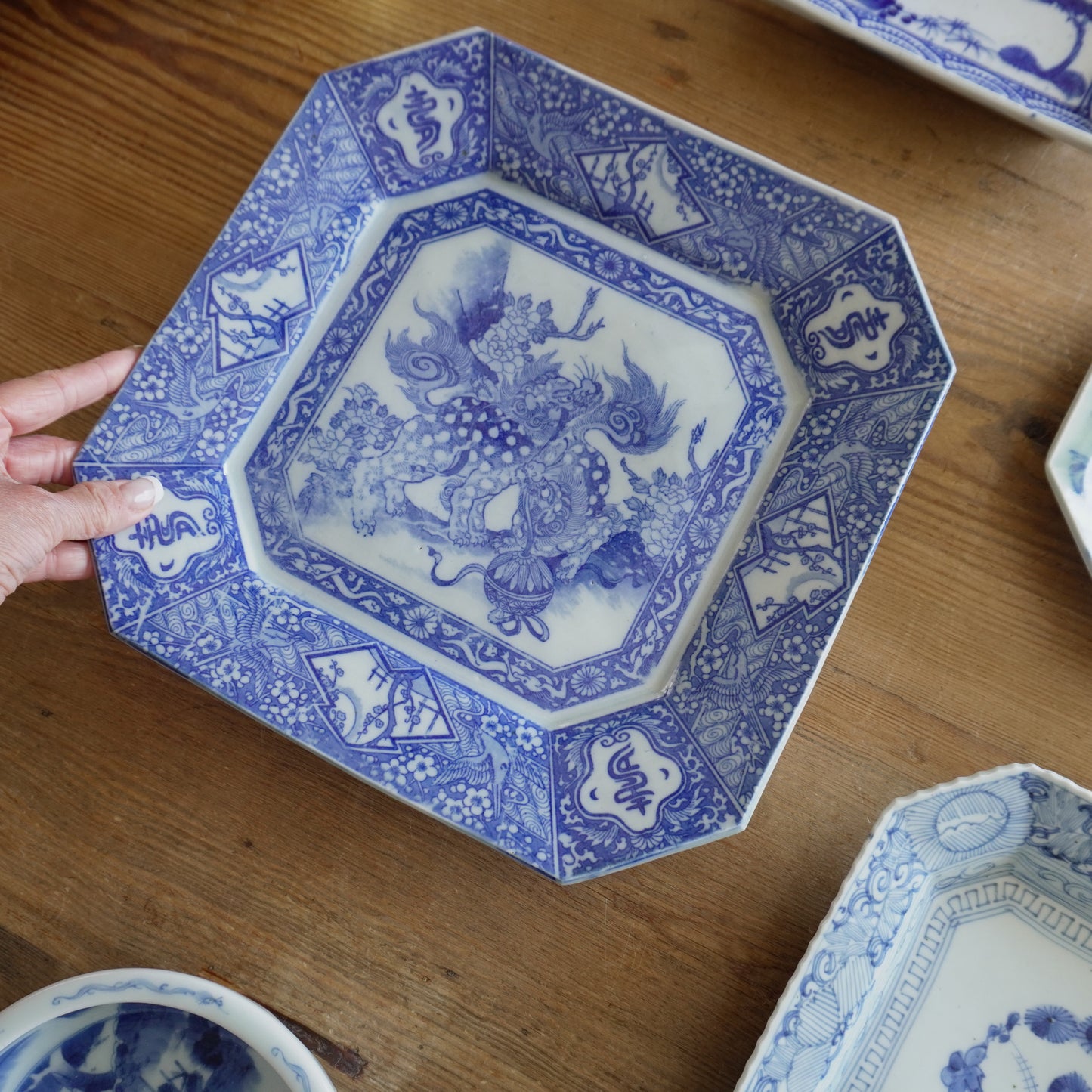 獅子と牡丹咲く角大皿