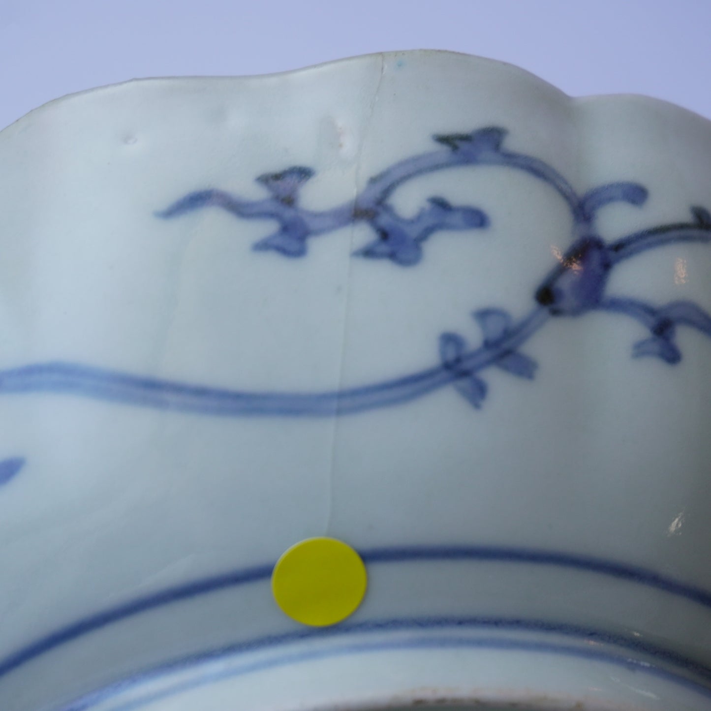 【ニュウあり】蕪の愛らしい色絵なます皿