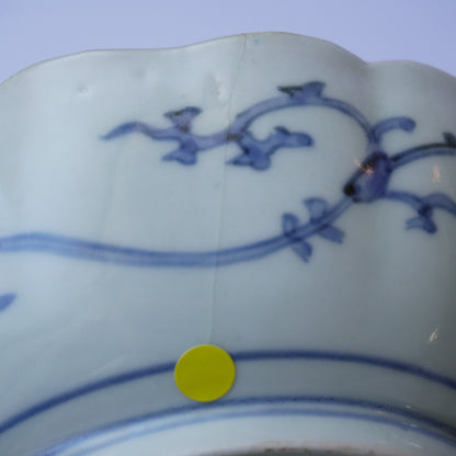 【ニュウあり】蕪の愛らしい色絵なます皿